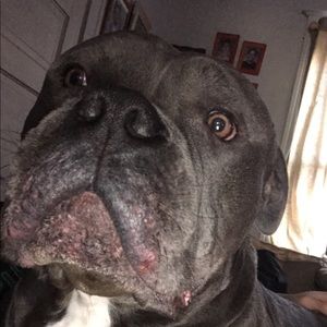 Meet your Posher, Ethan